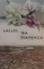 saluti con panorama anni 20.jpg